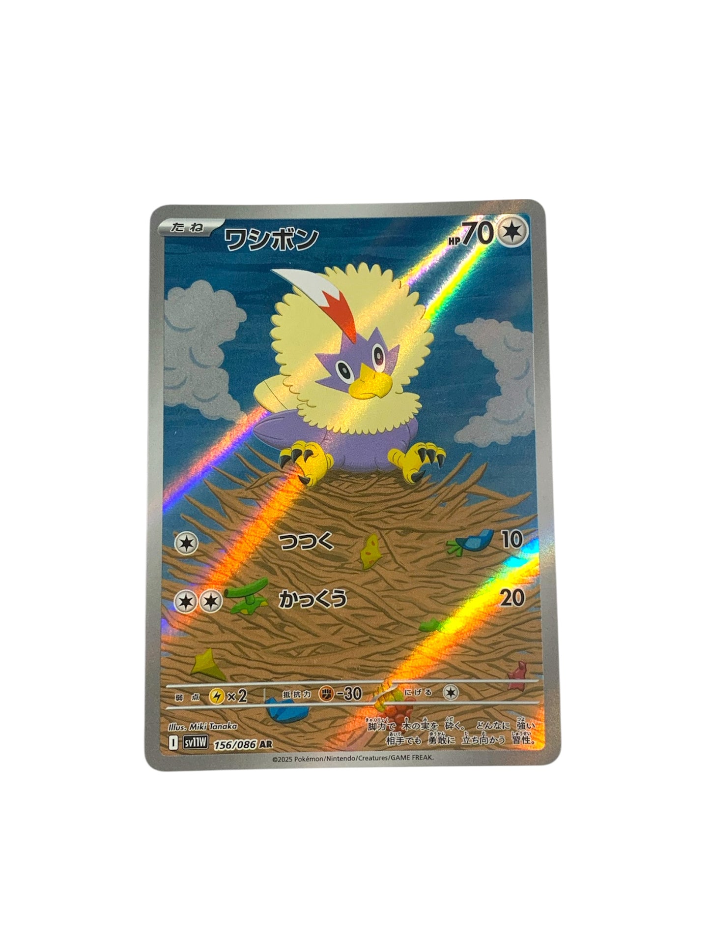 Rufflet (JPN)
