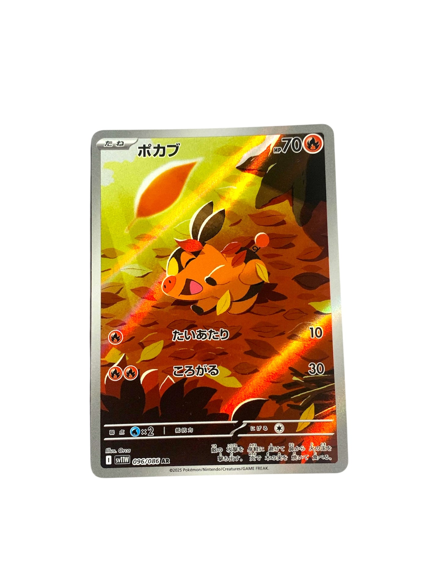 Tepig (JPN)