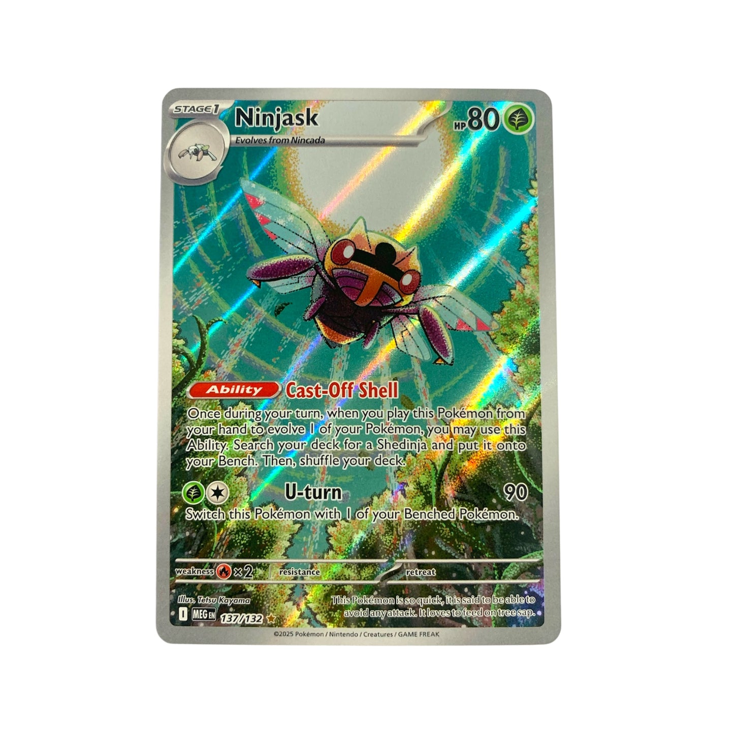Ninjask (Illustration Rare)