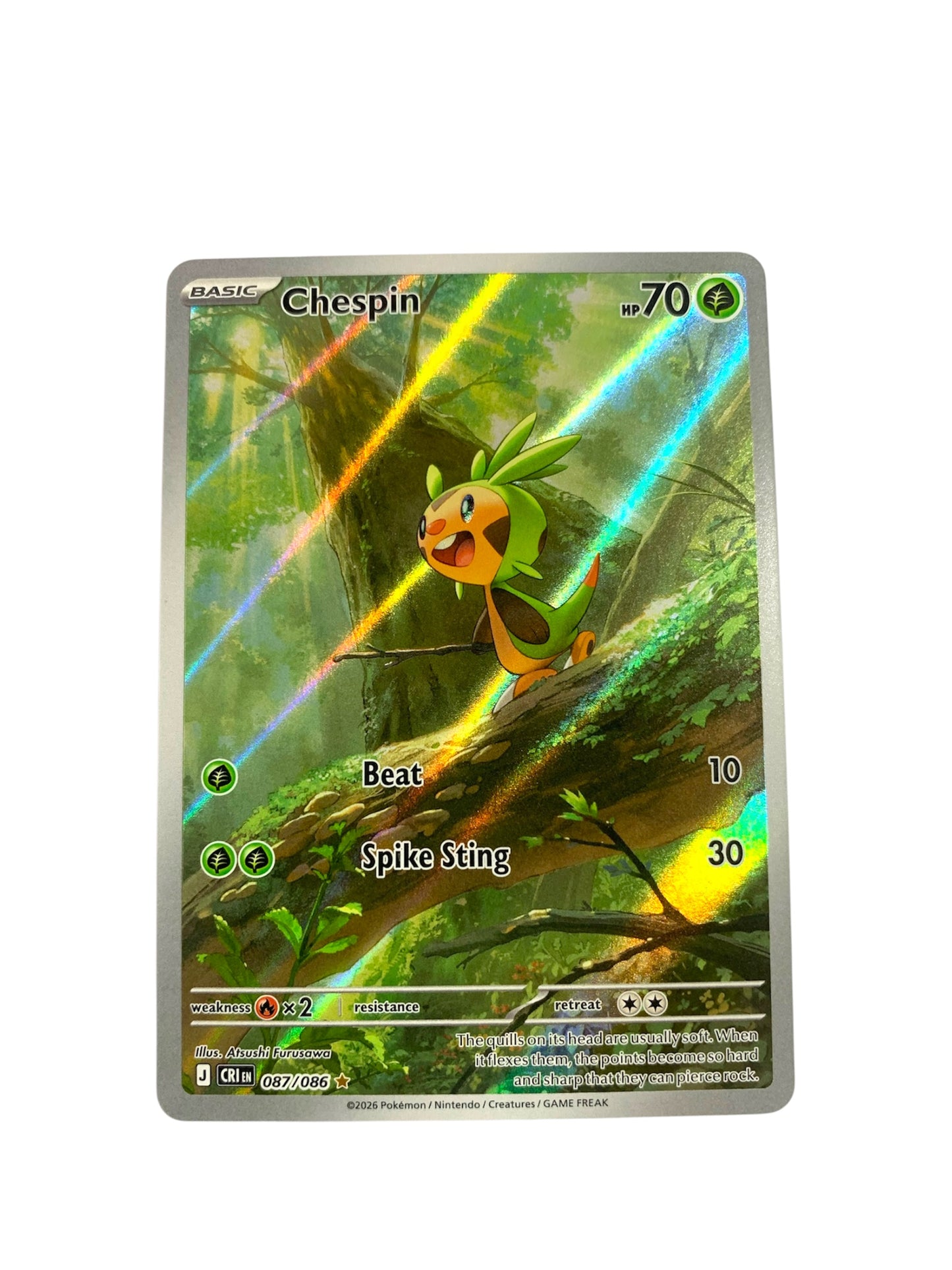 Chespin (Illustration Rare)