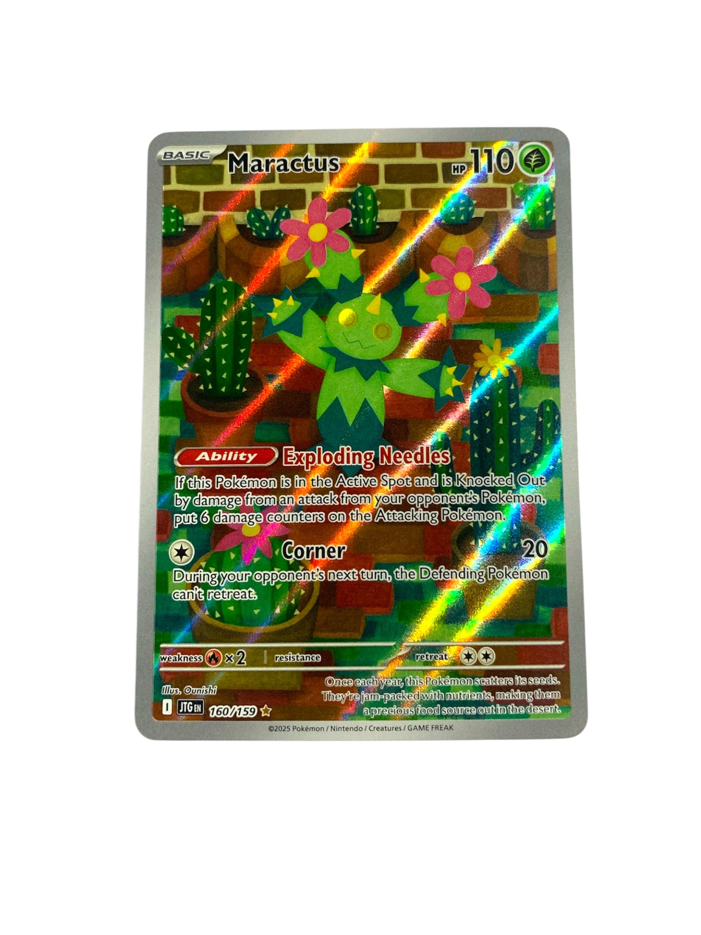 Maractus (Illustration Rare)