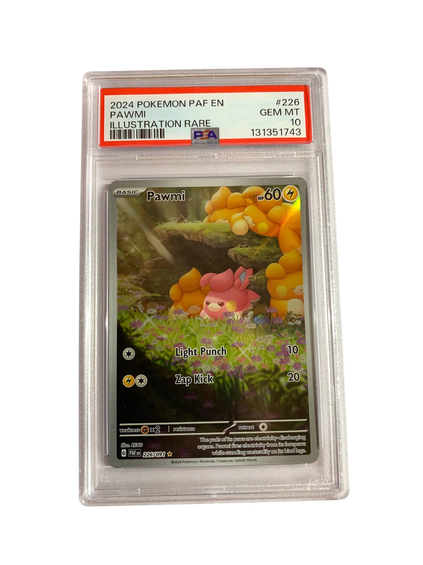 PSA 10 Pawmi (Shiny)