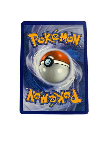 Black Belt’s Training (Full Art)